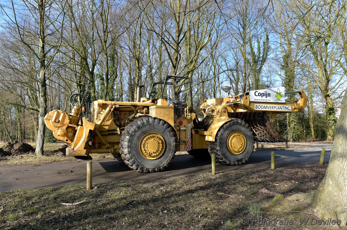 MediaTerplaatse bomen verplaatst ivm nieuwbouw ldn 05032018 Image00209