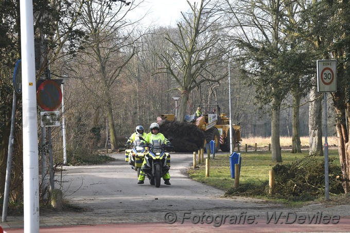 MediaTerplaatse bomen verplaatst ivm nieuwbouw ldn over de weg 06032018 Image01001