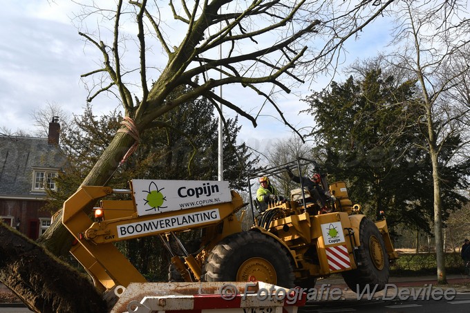 MediaTerplaatse bomen verplaatst ivm nieuwbouw ldn over de weg 06032018 Image01007