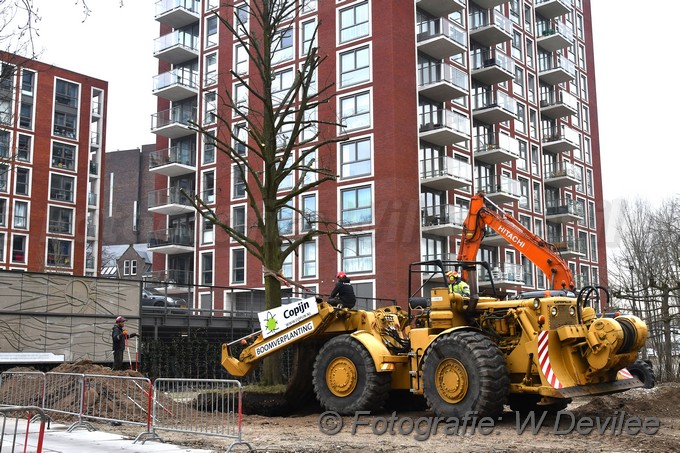 MediaTerplaatse bomen verplaatst ivm nieuwbouw ldn over de weg 06032018 Image01032