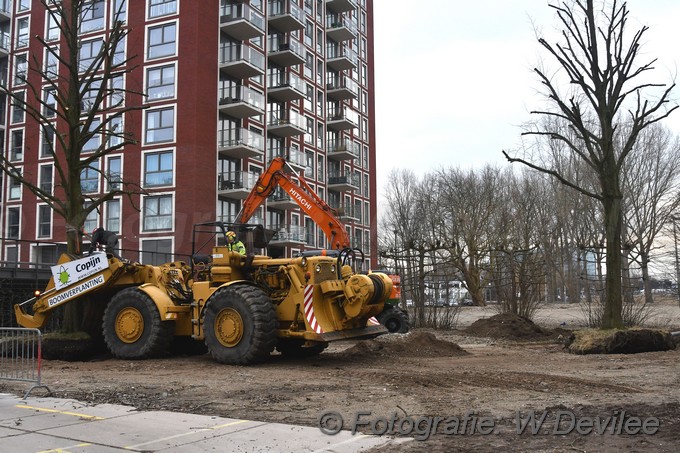 MediaTerplaatse bomen verplaatst ivm nieuwbouw ldn over de weg 06032018 Image01033