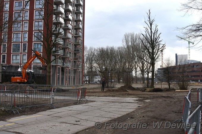 MediaTerplaatse bomen verplaatst ivm nieuwbouw ldn over de weg 06032018 Image01037