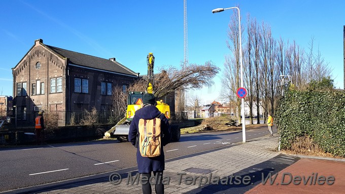 Mediaterplaatse bomen om voor singelpark leiden 24032018 Image00001