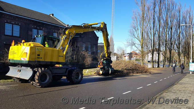 Mediaterplaatse bomen om voor singelpark leiden 24032018 Image00003