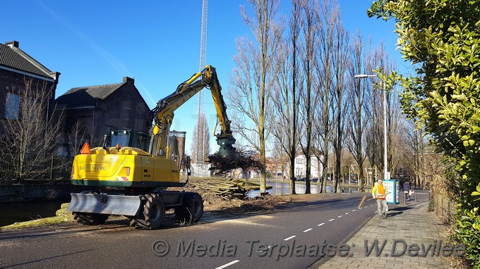 Mediaterplaatse bomen om voor singelpark leiden 24032018 Image00006