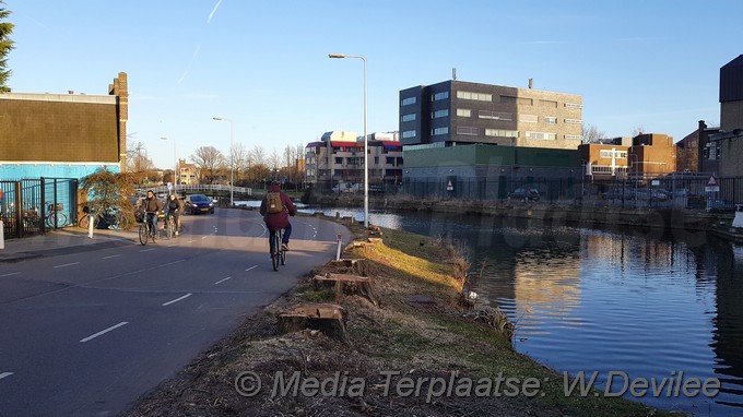 Mediaterplaatse bomen om voor singelpark leiden 24032018 Image00008