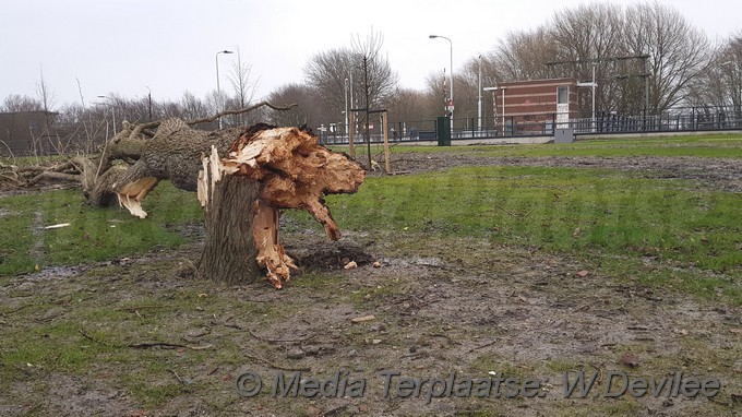 MediaTerplaatse storm Schade regio leiden 18012018 Image00001