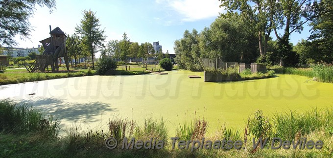 Mediaterplaatse zwem verbod tuin noord 25082019 Image00003