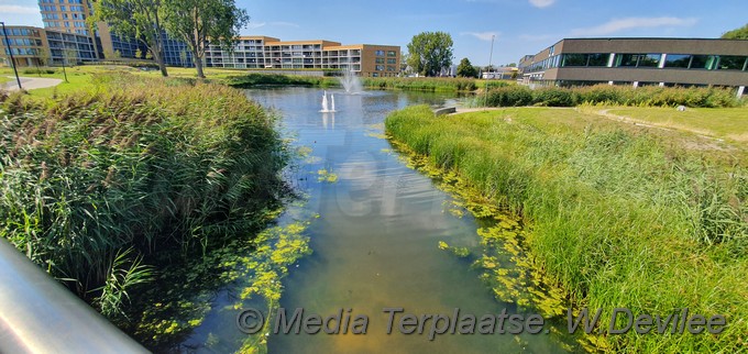Mediaterplaatse zwem verbod tuin noord 25082019 Image00006
