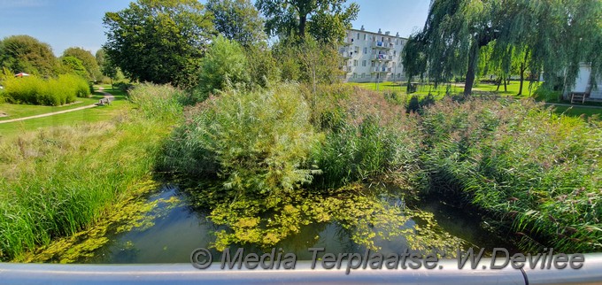 Mediaterplaatse zwem verbod tuin noord 25082019 Image00007