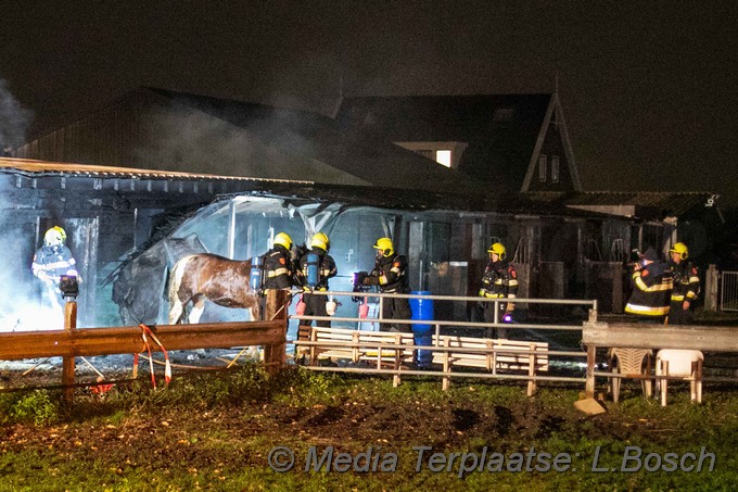 Mediaterplaatse stal brand halfweg dood paarden 04122019 Image00005