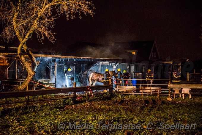 Mediaterplaatse stal brand halfweg dood paarden 04122019 Image00102